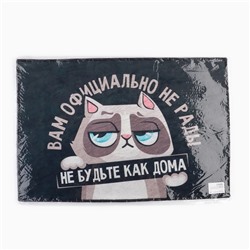 Коврик придверный «Кот», 40×60 см