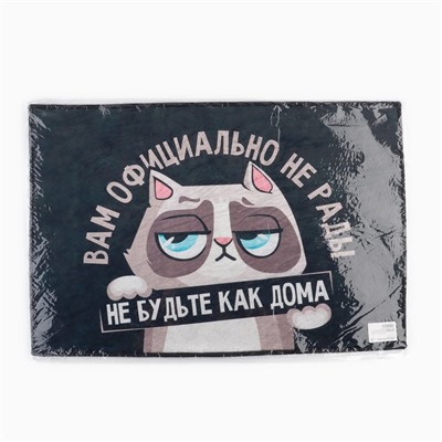 Коврик придверный «Кот», 40×60 см