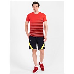 Футболка мужская Berchelli