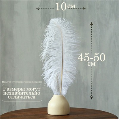 Перо для декора 1 шт., длина от 45 до 50 см, цвет белый