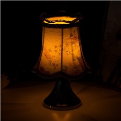 Аромасветильник сенсорный «Букет» G4 35 Вт серебро 16.5×16.5×25 см RISALUX