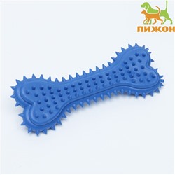 Игрушка жевательная литая «Кость для массажа» большая, 15×6×2.5 см, синяя