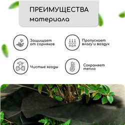 Круг приствольный, d=1 м, плотность 60 г/м², спанбонд с УФ-стабилизатором, набор 2 шт., чёрный, Greengo, Эконом 20%