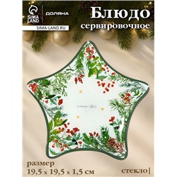 Блюдо новогоднее сервировочное Доляна «Еловые ветки», d=19.5 см, стекло, белое, зелёное