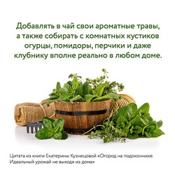 АСТ Екатерина Кузнецова "Огород на подоконнике. Идеальный урожай не выходя из дома"