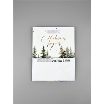 Пакет подарочный новогодний ламинированный «С Новым годом», MS 18×23×10 см