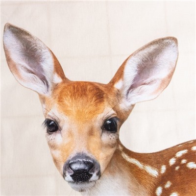 Постельное бельё 1.5-спальное «Этель. Олененок», бязь