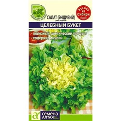Салат Целебный букет (эндивий) (Алтай)