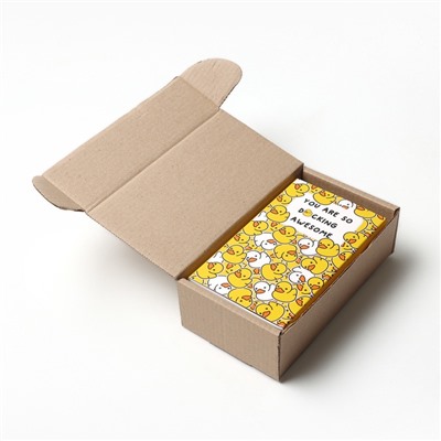 Носки женские KAFTAN Ducks, набор 2 пары, размер 36-40 (23-25 см)