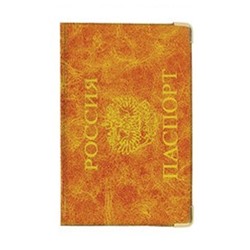 Обложка для паспорта #22595971