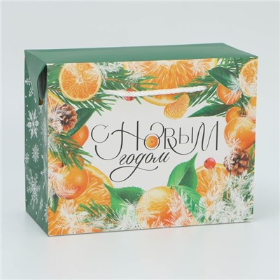 Пакет-коробка подарочный новогодний «С Новым годом», 23×18×11 см