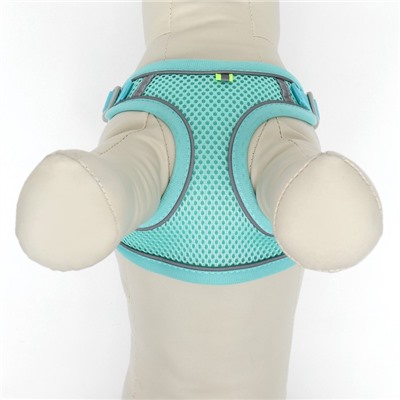 Комплект с мягкой шлейкой, быстросъемный, M, поводок 140 см, ОШ 44-48 ОГ 51-60 см, бирюзовый