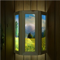 Абажур для бани и сауны «Одуванчики», 33×29×12 см, деревянный, настенный, со стеклом, с УФ-печатью, «Добропаровъ»