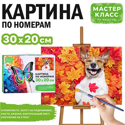 Набор для рисования "Картина по номерам 30х20 см. Щенок в листве"