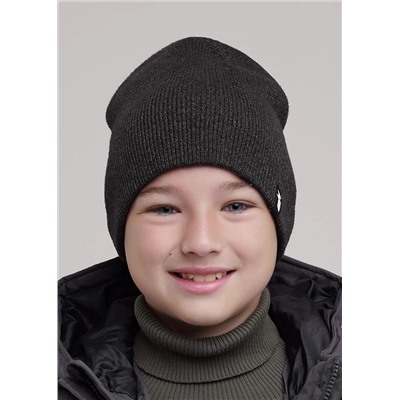 CLEVER Шапка 604316вн