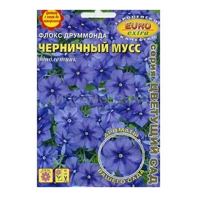 Флокс Черничный мусс (Аэлита)