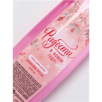 Новогодний подарочный набор косметики «Уютной зимы», гель для душа 250 мл и мочалка для тела, Чистое счастье