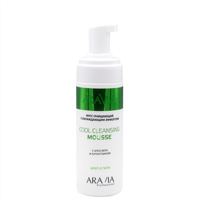 ARAVIA Professional Мусс очищающий с охлаждающим эффектом с алоэ вера и аллантоином Cool Cleansing Mousse, 160 мл/8