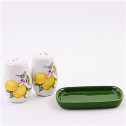 60173 Набор для специй 3пр Лимонный праздник доломит LR (х72)