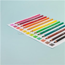 Карандаши цветные пластиковые 4,0 Мм "Kawaii Animals", 18 цветов, 4 вида