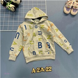 Толстовка 1981347-1