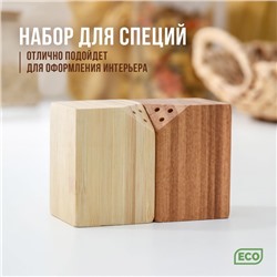 Набор деревянный для специй, 10×5×7 см, 2 шт, на магнитах, бамбук