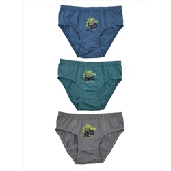 Трусы для мальчика Berrak