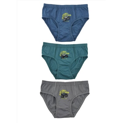 Трусы для мальчика Berrak