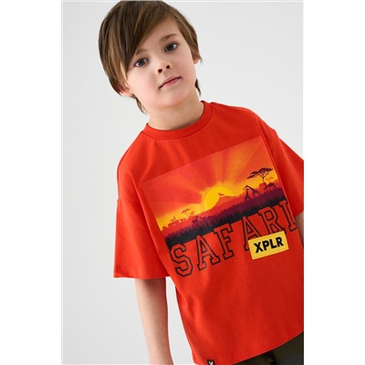 Фуфайка трикотажная для мальчиков (футболка) PLAYTODAY, 1239802