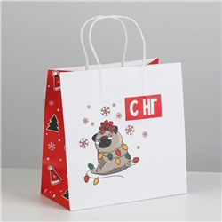 Пакет подарочный новогодний «А вас также», 22×22×11 см