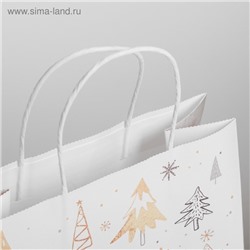 Пакет подарочный новогодний крафт «С Новым годом», 25×22×12 см
