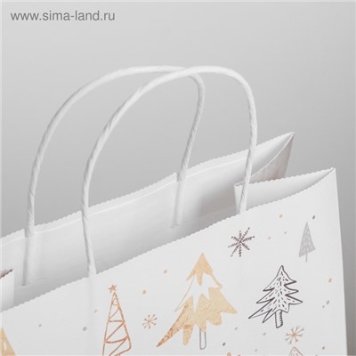 Пакет подарочный новогодний крафт «С Новым годом», 25×22×12 см
