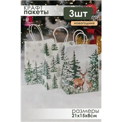 Набор крафт-пакетов подарочных новогодних 3 шт НАТАЛИ, 1218138