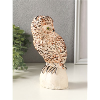 Фигурка гипс «Сова на камне», 18×10 см, мультиколор