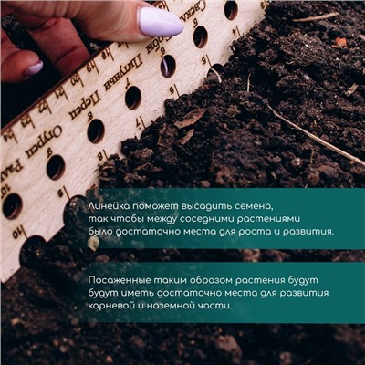Линейка для посадки семян, 40 см, Greengo