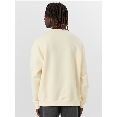 СВИТШОТ МУЖСКОЙ 121901