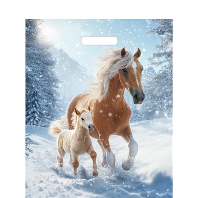 Пакет 38*45 Дуэт Глянец 7030