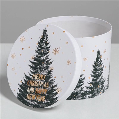 Набор подарочных коробок 5 в 1 «Белое золото», 13×14‒19.5×22 см, Новый год