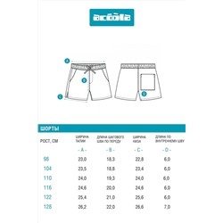 Шорты ACOOLA, 1099039