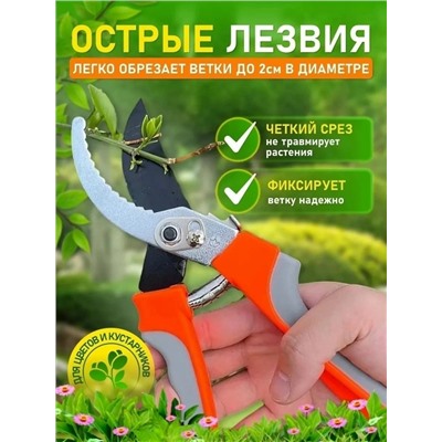 Секатор #23078091