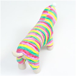 Комбинезон «Радуга» с капюшоном, размер 2XL (ДС 45 см, ОШ 45 см, ОГ 55 см)