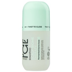 ICE SCALP-BIOME THERAPY Шампунь для жирной кожи головы 250 мл
