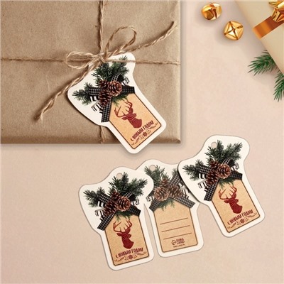 Шильдик на подарок Новый год «Шишка», 6.5×8.5 см