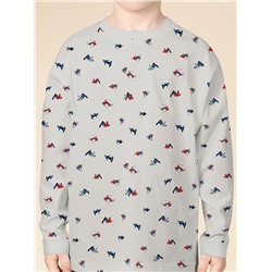 NFAJP3351/1 (Пижама для мальчика, Pelican )