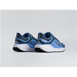 Кроссовки Nike Air Zoom Pegasus 41