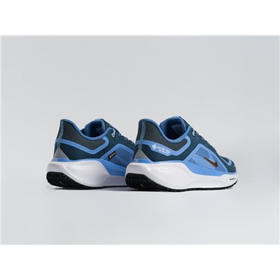Кроссовки Nike Air Zoom Pegasus 41