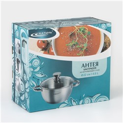 Кастрюля Катунь «Антея», 4 л, d=22 см, капсульное дно, индукция, нержавеющая сталь