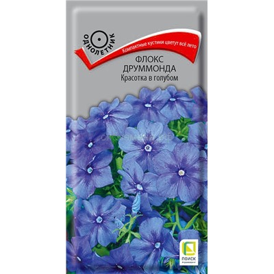 Флокс Красотка в голубом (П)