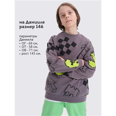 PELICAN Толстовка BFN3369/2