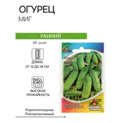 Семена Огурец "Миг", раннеспелый, пчелоопыляемый, 0,3 г  серия ХИТ х3